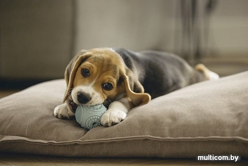 Игрушка для собак Beeztees 626847