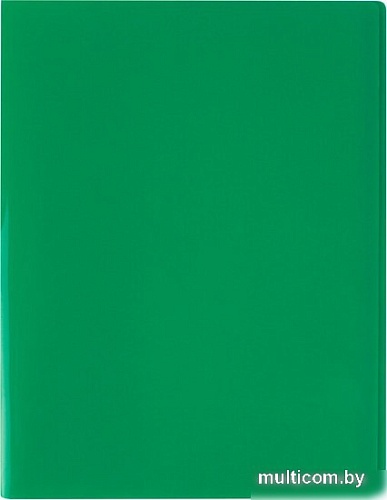 Папка для бумаг Shebar Sb-0271B-GN (зеленый)