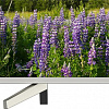 Телевизор Sony KD-55XF7077