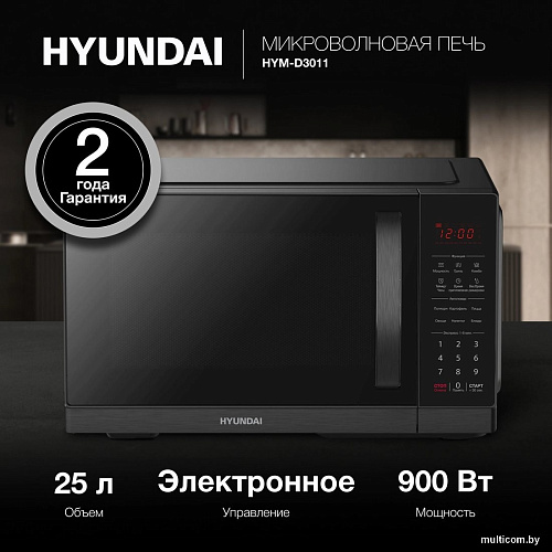 Hyundai HYM-D3011
