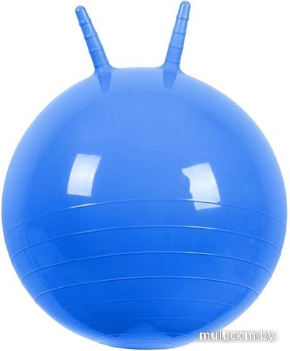 Гимнастический мяч Sabria Sport 55J (синий)