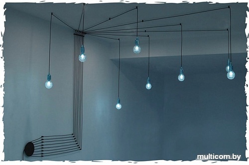 Подвесная люстра Lussole Loft LSP-9554