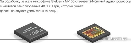 Микрофон Stelberry M-100