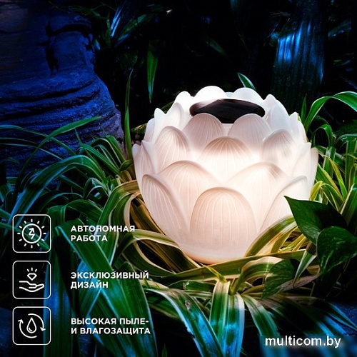 Садовый светильник-фигура Rexant Лотос 602-2431