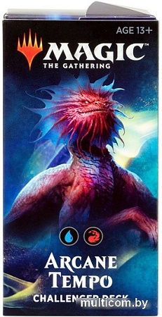 Карточная игра Wizards Of The Coast Challenger Deck 2019: Arcane Tempo C627500001