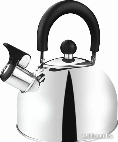 Чайник со свистком Hitt Standard H01021