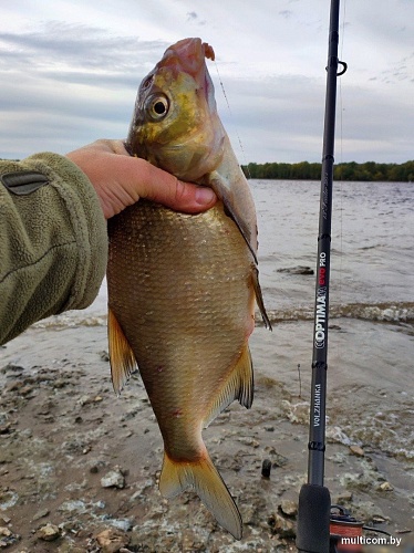 Удилище Волжанка Optima Evo Pro 11ft тест 40+гр 041-0118 (3.3м)