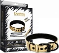 Ошейник Lovetoy Bondage Fetish Black Matt Collar With Leash LV761004 (золотистый)
