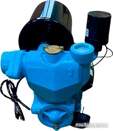 Самовсасывающий насос Greenpump WZ 370