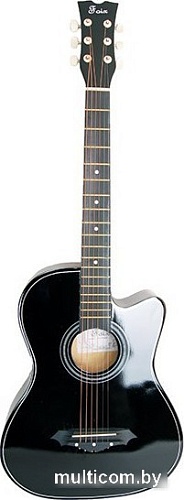 Акустическая гитара Foix FFG-1038-BK