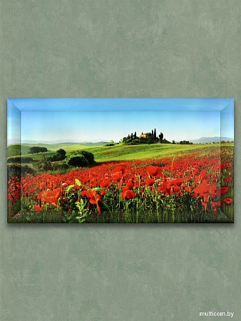 Картина Декарт 8Л3072