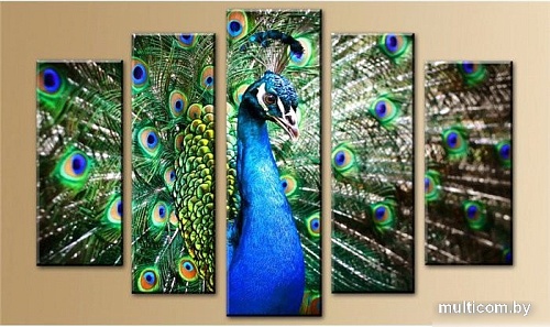 Модульная картина Arthata 5m-364 160x90