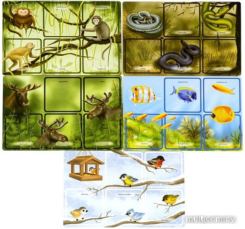 Развивающая игра Bondibon Лото. Что сегодня на обед? ВВ4879