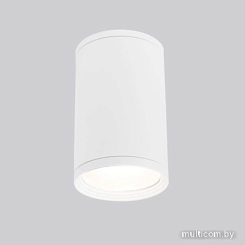 Уличный накладной светильник Elektrostandard Light 2101 35128/H (белый)