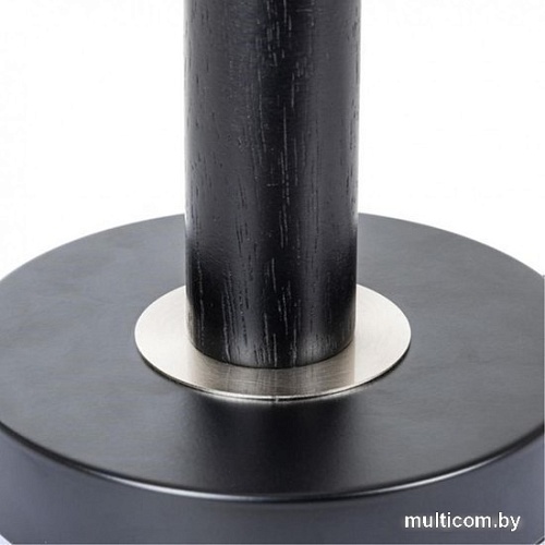 Настольная лампа Arte Lamp Robert A5029LT-1SS