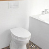 Панель смыва Villeroy &amp; Boch ViConnect 9224-00-RE (хром матовый)