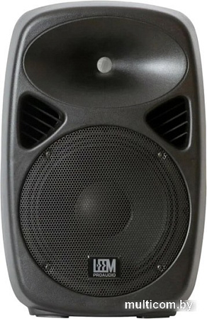 Активная акустика Leem SPA-8