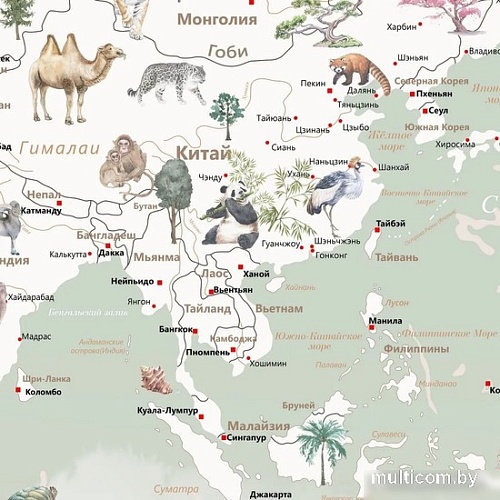 Фотообои Citydecor Детская Карта мира 351 300x260