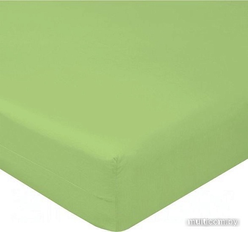 Постельное белье Luxsonia Поплин на резинке 180x200 Мр0040-16 (мохито)