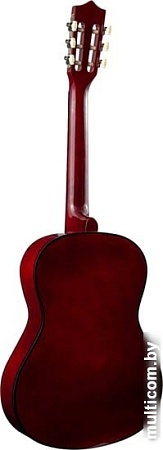 Акустическая гитара Terris TC-3801A SB