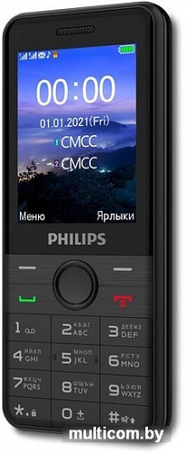 Смартфон Philips Xenium E172 (черный)