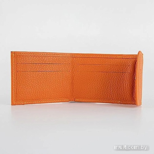 Портмоне Poshete 604-120M-ORN (оранжевый)