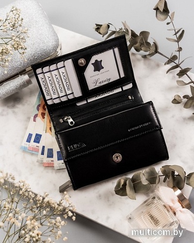 Кошелек Cedar Rovicky R-RD-38-GCL (черный)