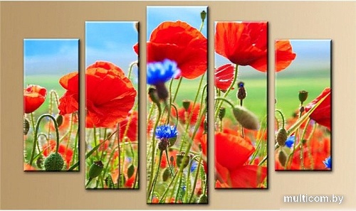 Модульная картина Arthata 5m-518 105x60