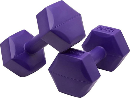 Набор гантелей BaseFit DB-305 2x2 кг (фиолетовый)