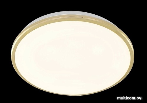 Люстра-тарелка Citilux Луна CL702222W