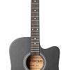 Акустическая гитара ROKSO FT-221-BK