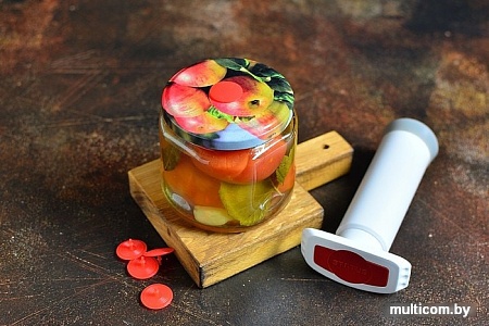 Вакуумный насос Status 199128