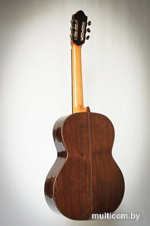 Акустическая гитара Kremona Romida RD-S