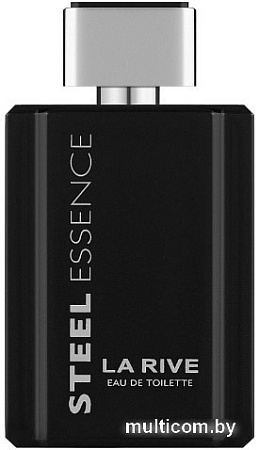 Туалетная вода La Rive Steel Essence Man EdT (100 мл)