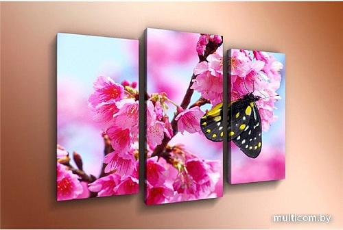 Модульная картина Arthata m-000489 120x80