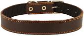 Ошейник Каскад 25012