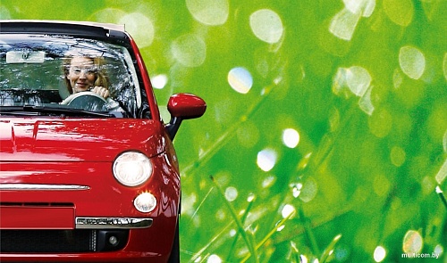 Галогенная лампа Philips LongLife EcoVision H1 12258LLECOB1 1шт