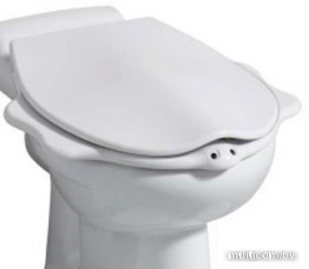 Сиденье для унитаза Geberit Bambini 573365000