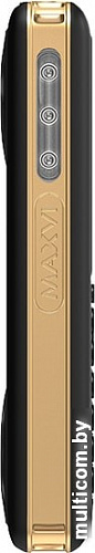 Мобильный телефон Maxvi P20 (золотистый)