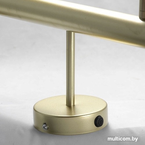 Спот Lussole LSP-8169