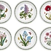 Набор обеденных тарелок Portmeirion Botanic Garden/Original/Tableware BG05072