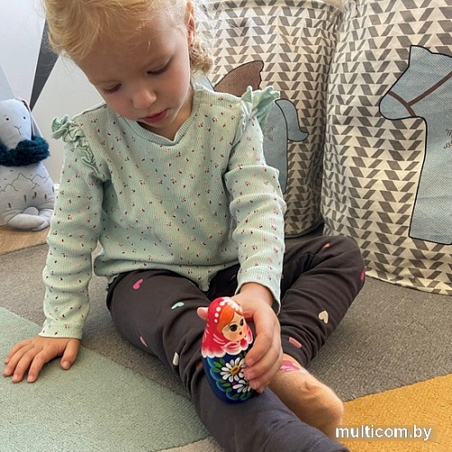 Развивающая игра Брестская Матрешка С букетом ромашек (набор 5 шт)