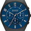 Наручные часы Skagen Grenen SKW6841