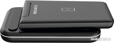 Беспроводное зарядное Canyon WS-304