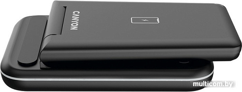 Беспроводное зарядное Canyon WS-304