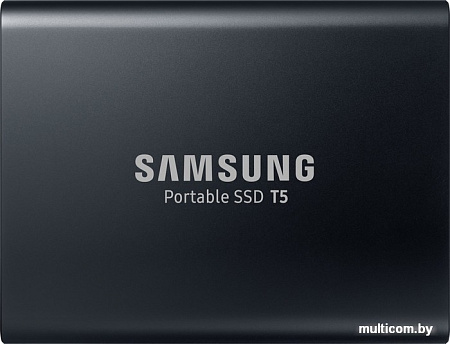 Внешний жесткий диск Samsung T5 1TB (черный)