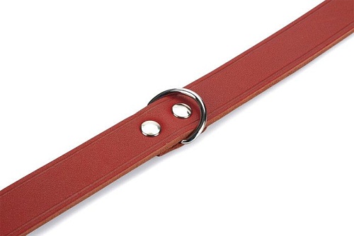 Ошейник Beeztees 735308