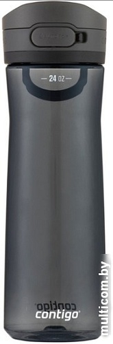 Бутылка для воды Contigo Jackson 2.0 2156435 (лакрица)