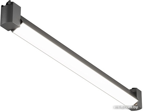 Трековый светильник Maytoni Basis Rot TR104-1-20W4K-B