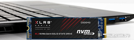 SSD PNY XLR8 CS3040 500GB M280CS3040-500-RB